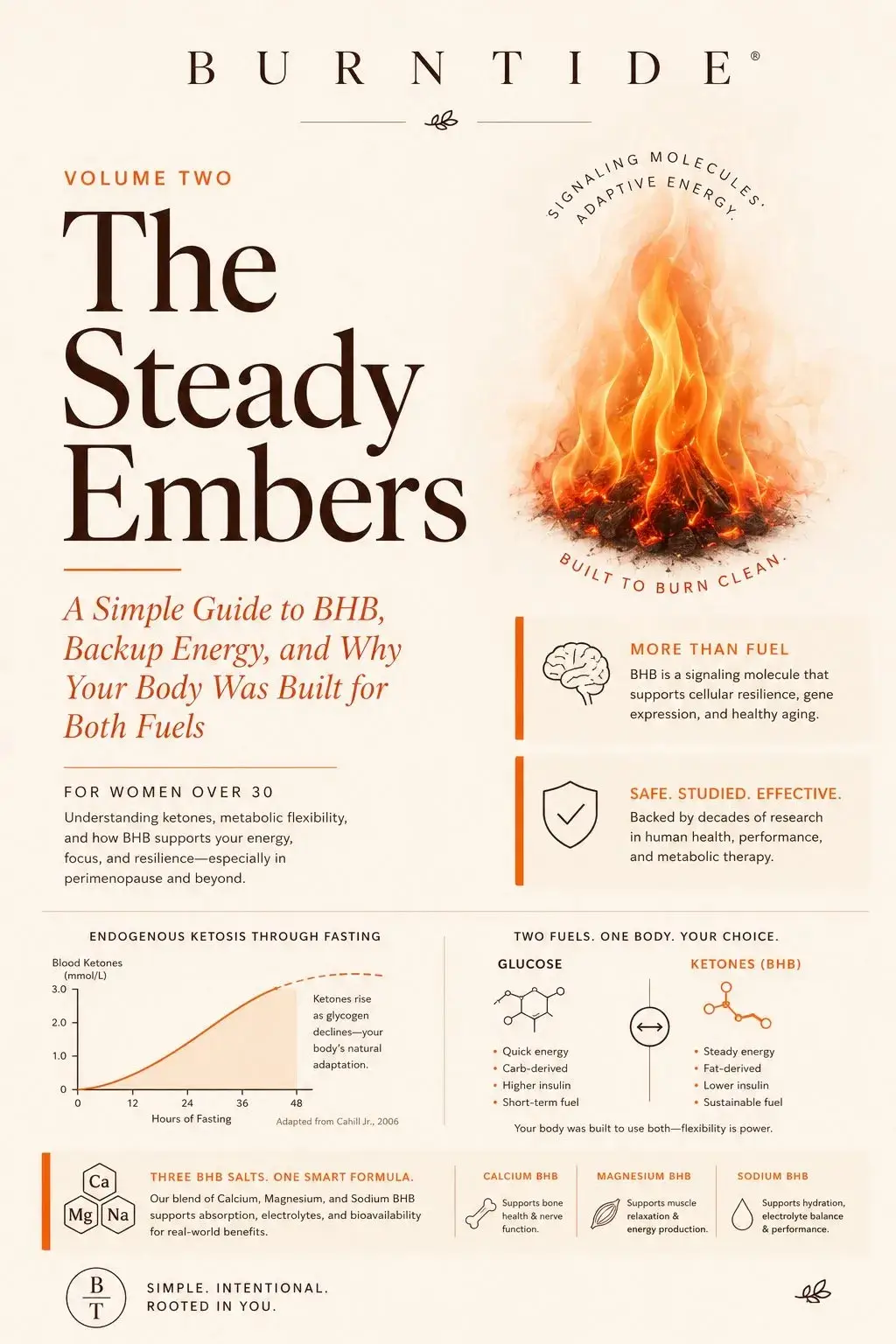 Burntide Everyday Energy Guide